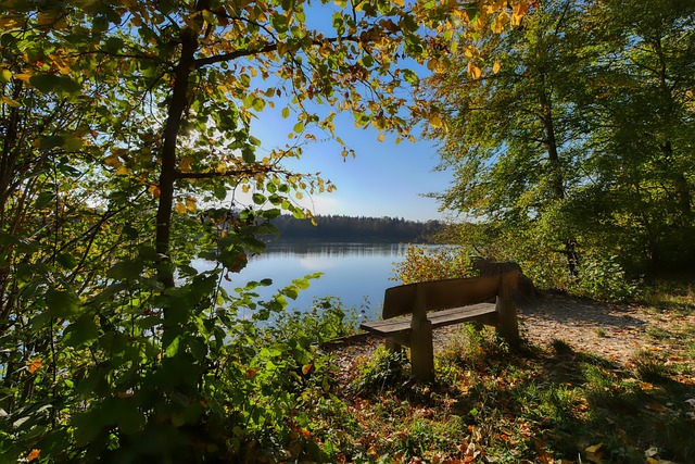 早报：搅吧，你们就搅吧！