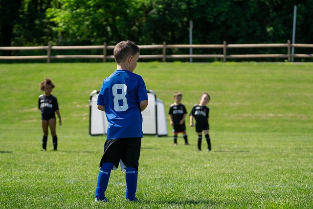 博洛尼亚vs那不勒斯：奥尔索利尼、达林加首发，麦克托米奈、霍伊伦出战