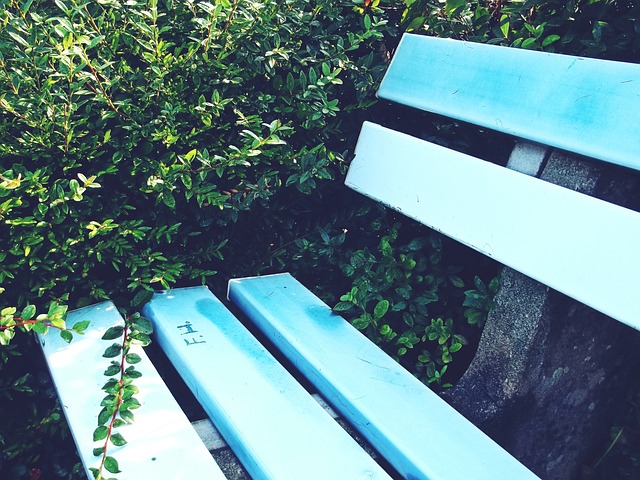 1-3不敌阿森纳，拜仁新赛季各项赛事首次输球