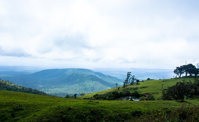 亚洲多国将全面升级 VAR 系统