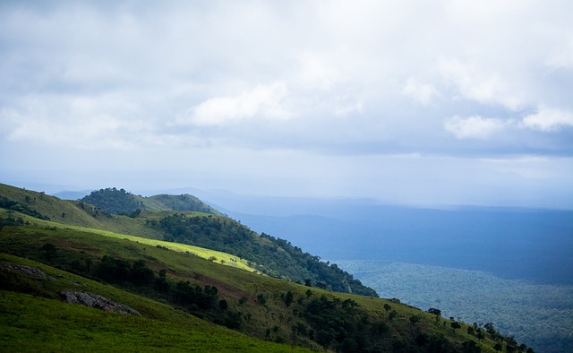 安帅：维尼修斯能和罗德里戈共存，很满意法比尼奥的训练状态
