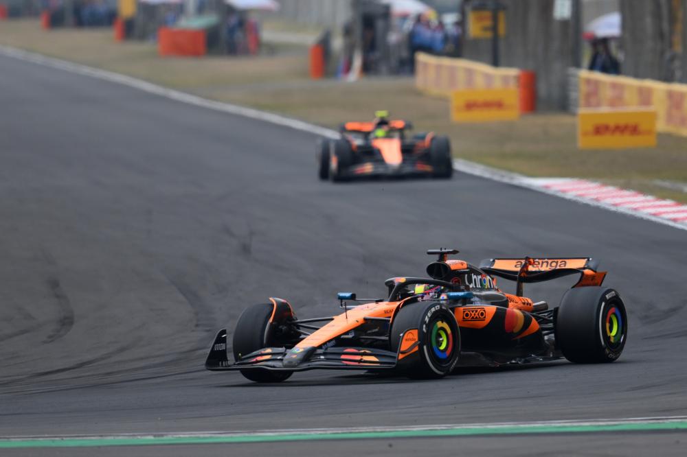 UFC2025最佳首秀候选萨尔基尔德一拳KO朱伯利，将战茸主